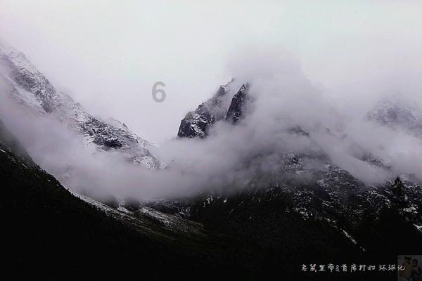请问要是开车撞了动物是否违法，会不会被抓或者坐牢？游戏画面